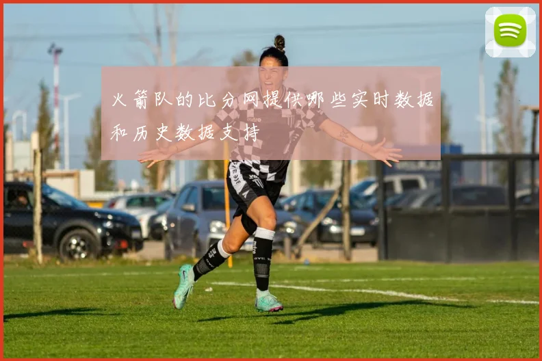 火箭队的比分网提供哪些实时数据和历史数据支持