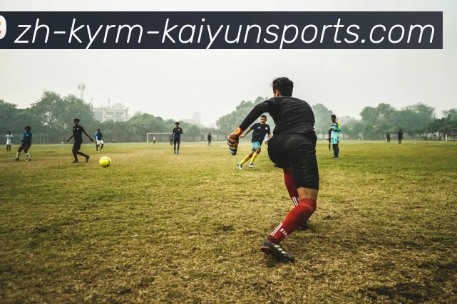 ky开云服务体系